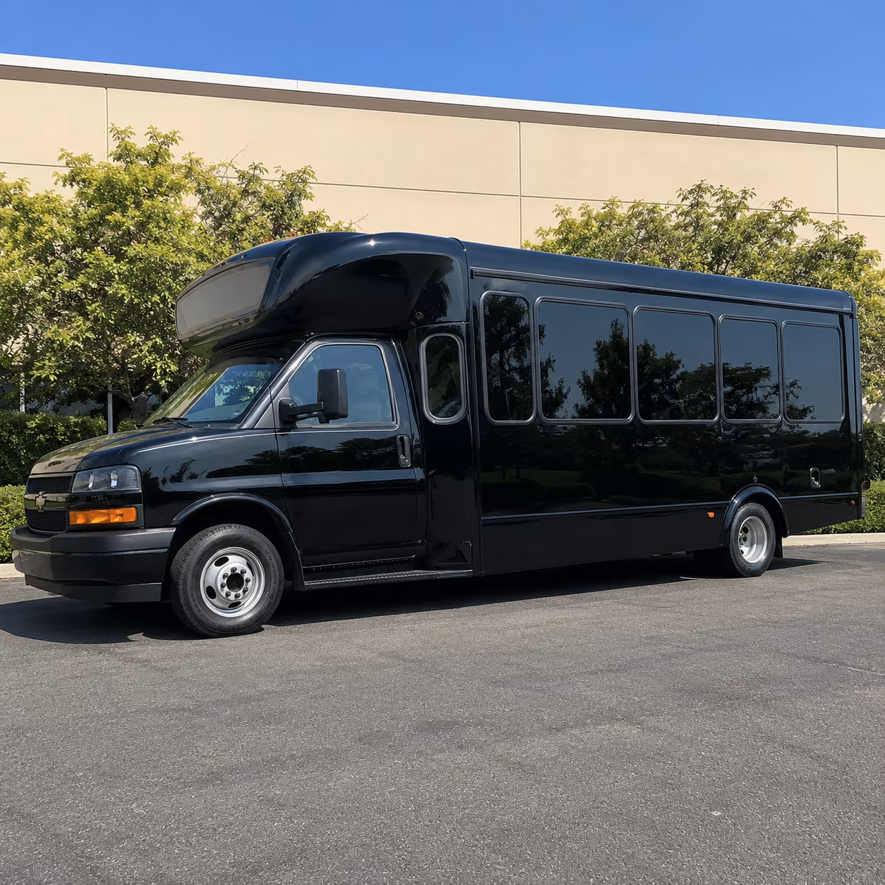 southfield birthday party bus rental